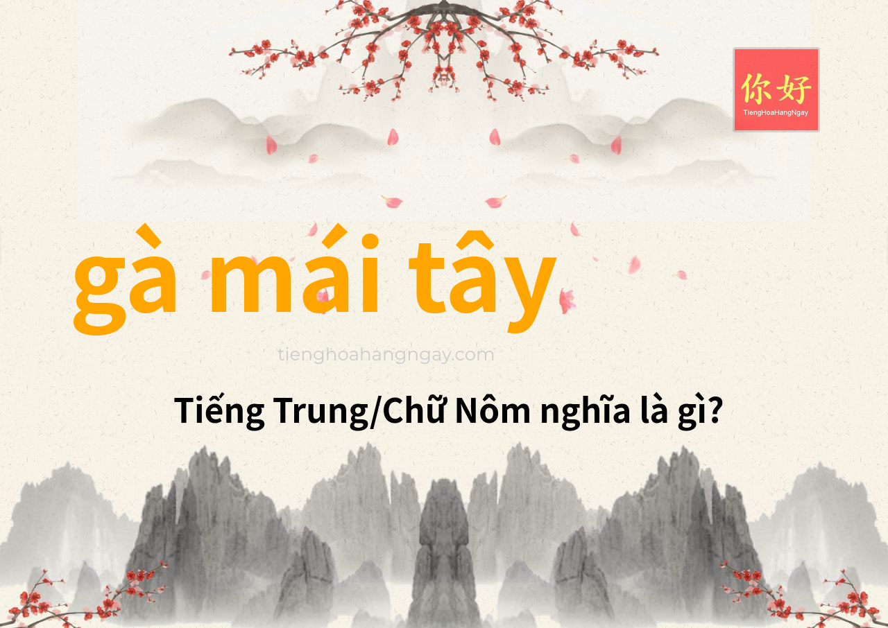 gà mái tây tiếng Trung là gì?
